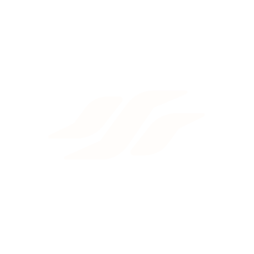 DataSwell logo