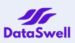 DataSwell